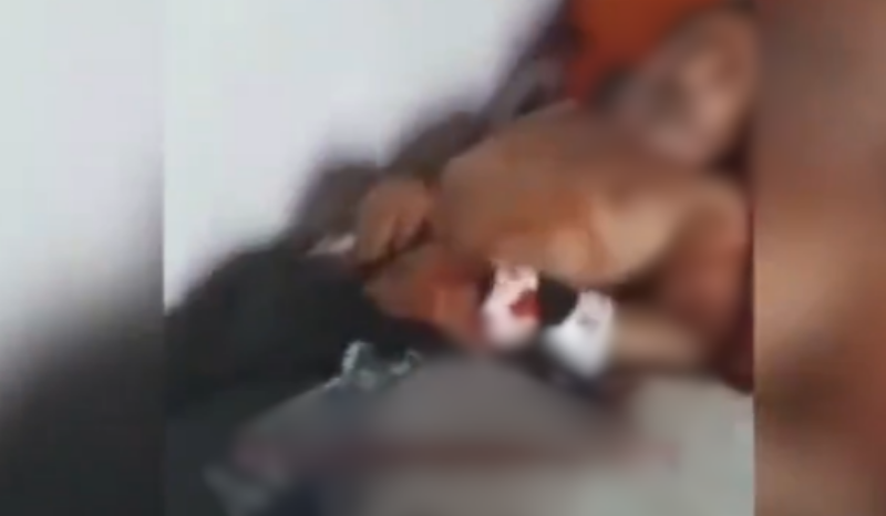 Filha é presa após matar pai a facadas e filmar o crime em SP