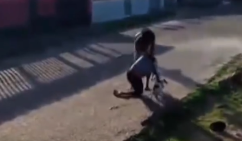 Idoso é agredido pelo filho no Dia dos Pais em Outeiro, Belém