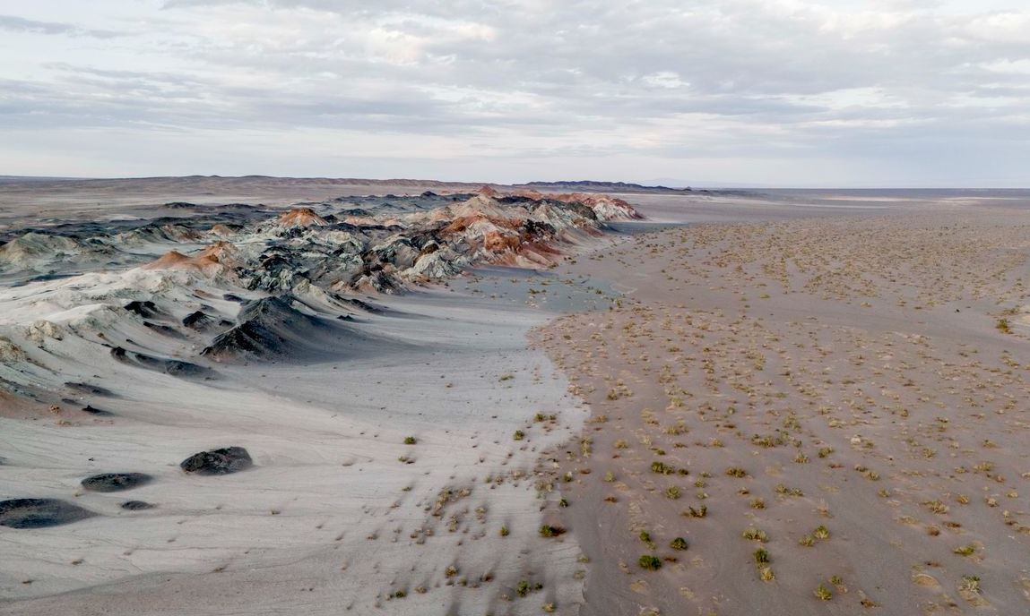 Fungos: Solução Natural para Recuperar Terras e Enfrentar a Crise Climática