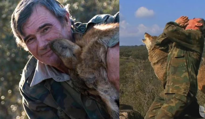 Morre Marcos Pantoja, o Menino Lobo que viveu entre lobos na Espanha