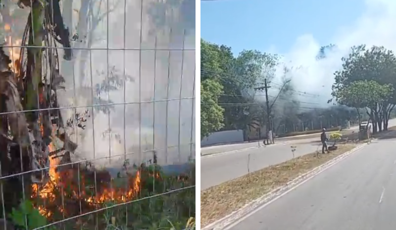 Incêndio atinge área de vegetação próxima à Bola da Suframa em Manaus
