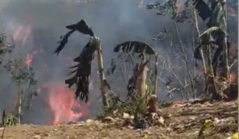 Incêndio em lixão de Manacapuru avança e atinge áreas de mata