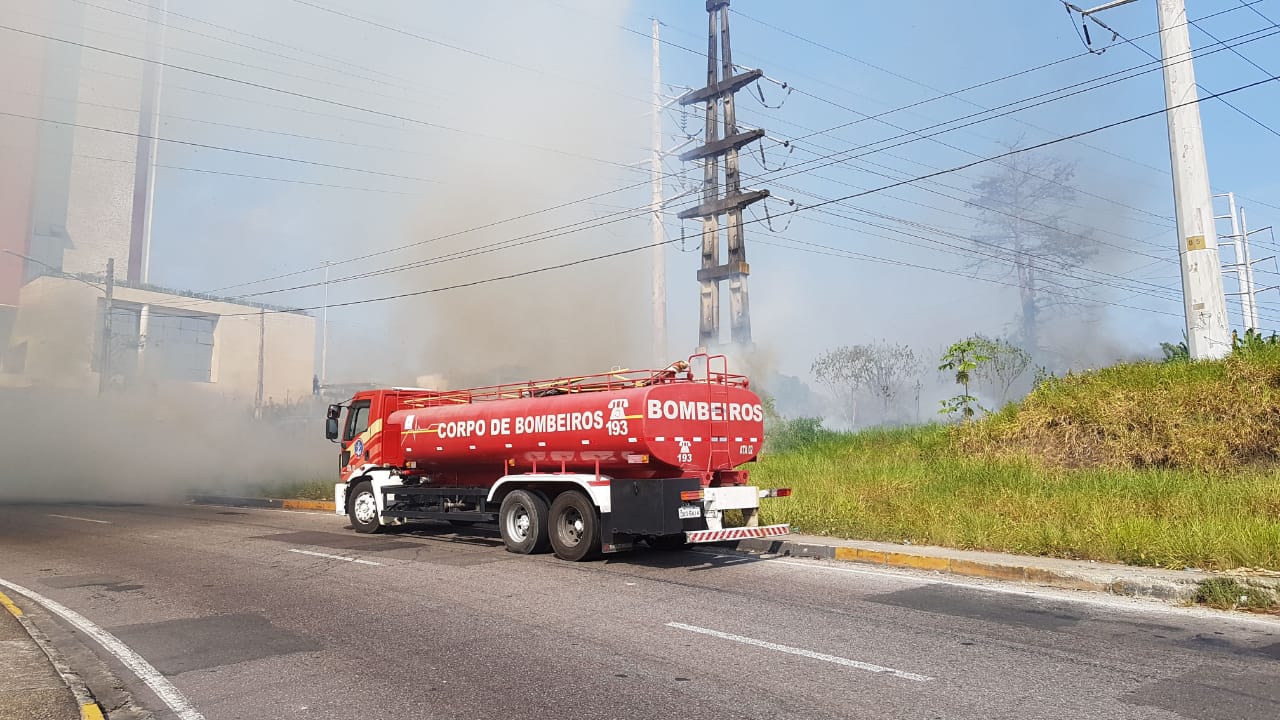 Incêndios florestais em Manaus aumentam 324% e ameaçam rede elétrica