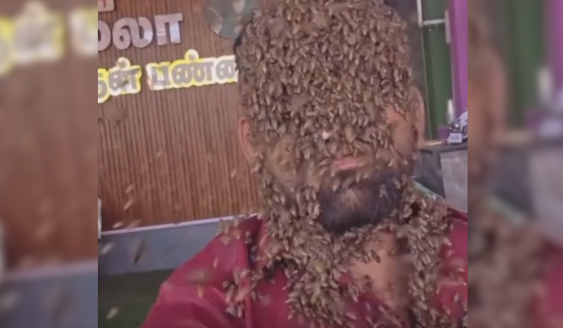 Indiano quebra recorde ao ficar 5 horas com rosto coberto de abelhas