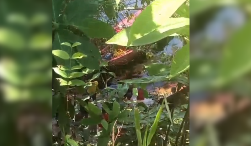 Jovem morre afogado após desaparecer no Rio Negro em Manaus