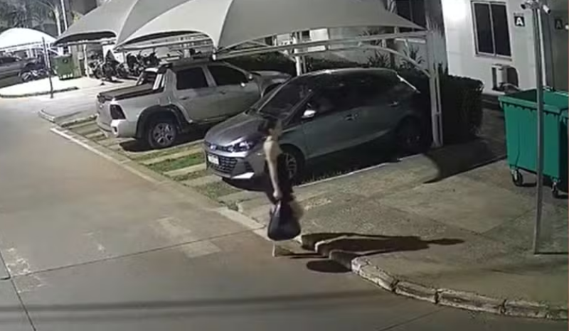 Mulher abandona filha recém-nascida em lixeira e é identificada pela polícia