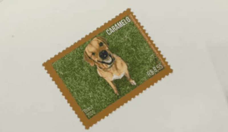 Mixirica: cão caramelo resgatado será ícone em selo dos Correios