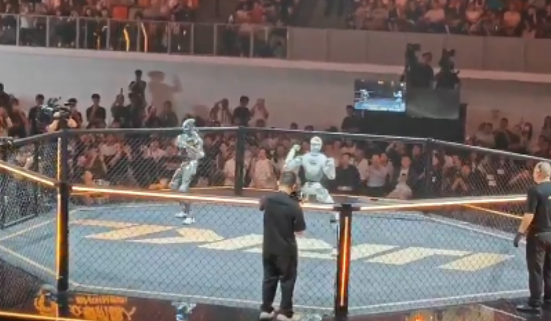 MMA de Robôs: Competição Viraliza com Lutas em Shenzhen