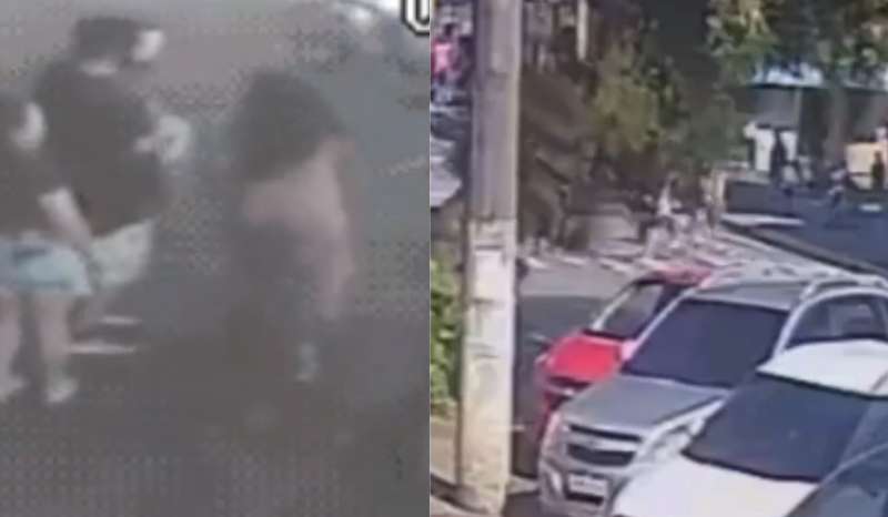Mulher entra em desespero ao ver árvore cair em carro com família dentro