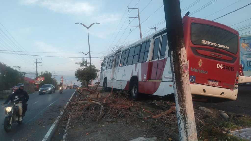 Ônibus da linha 350 colide contra árvore na avenida Noel Nutels