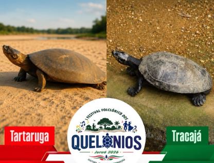 Juruá recebe o 1º Festival Folclórico dos Quelônios com artistas de Parintins