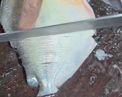Vídeo de peixeiro em Manaus encanta pela técnica na limpeza do pacu