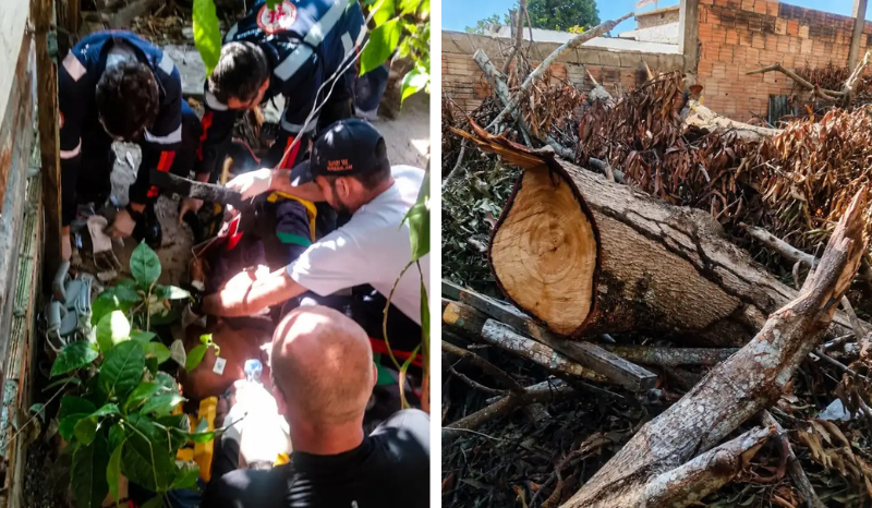 Idoso morre após ser atingido por tronco de árvore em Manaus