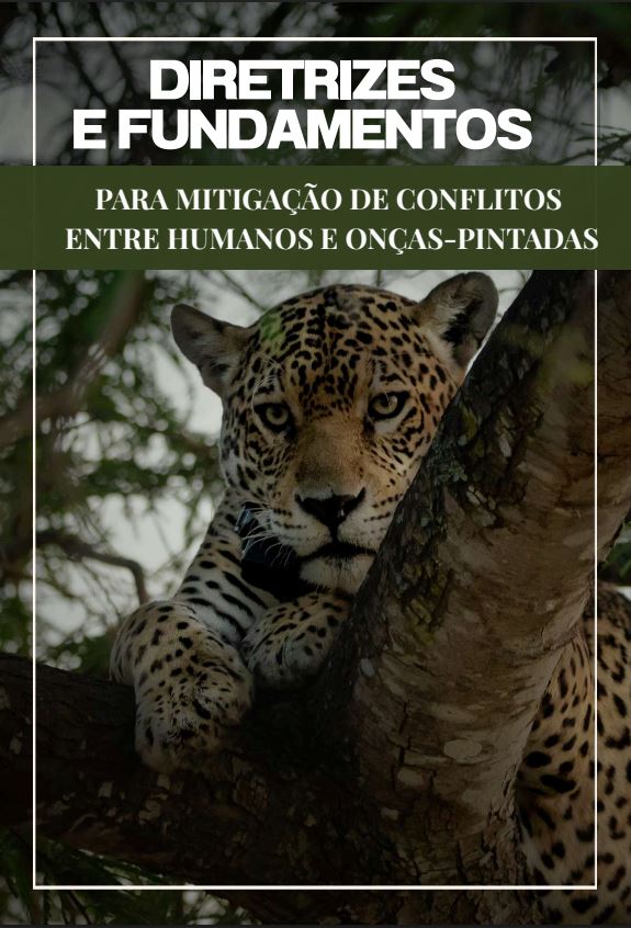 Diretrizes inovadoras visam minimizar conflitos entre humanos e onças-pintadas