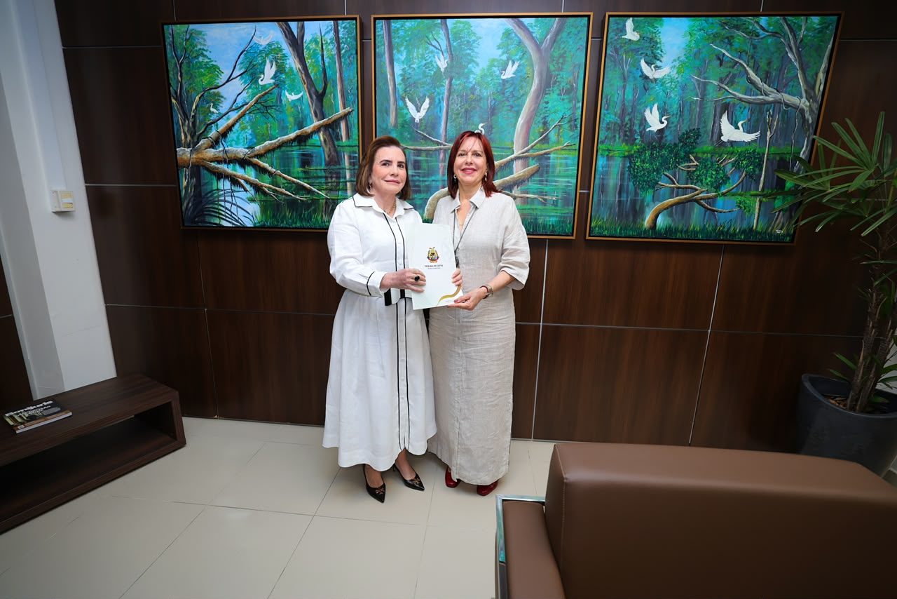 TCE-AM entrega lista de gestores com contas irregulares ao TRE