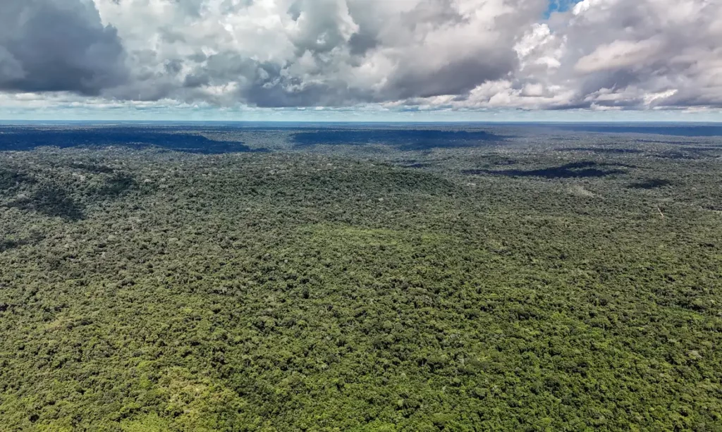 Reino Unido destina 400 milhões de libras para o Fundo Florestas Tropicais