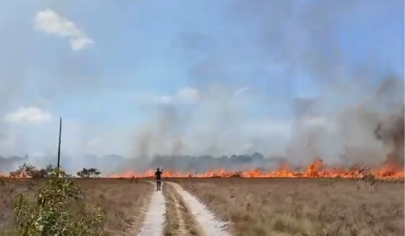 Homem ateia fogo em área rural de Parintins e moradores controlam incêndio