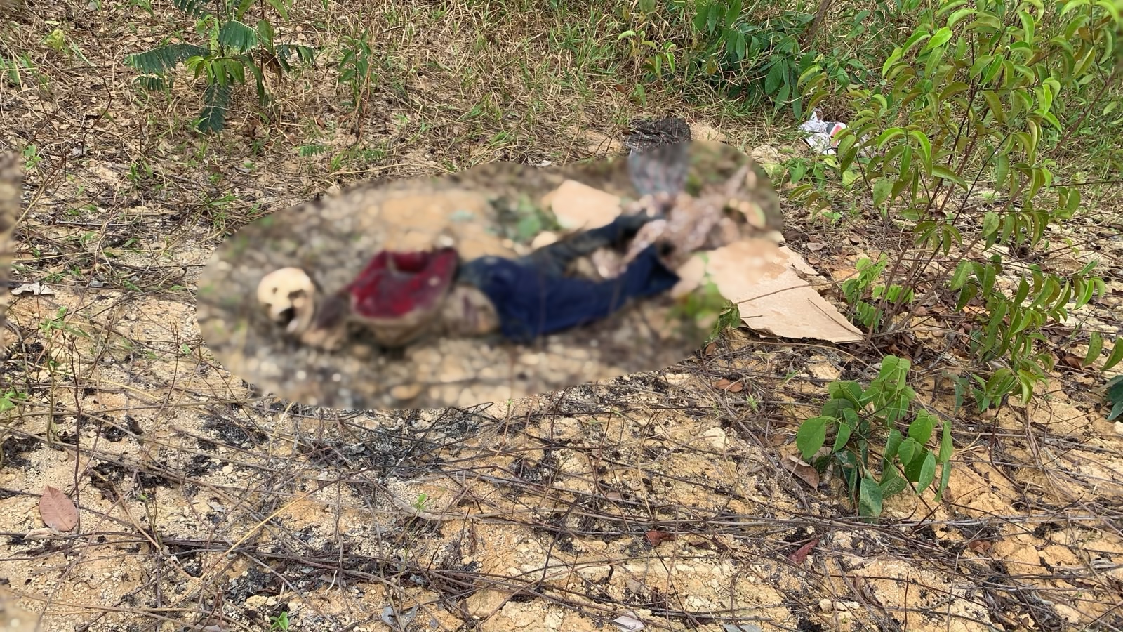 Corpo é encontrado na Estrada do Brasileirinho, bairro Jorge Teixeira, em Manaus