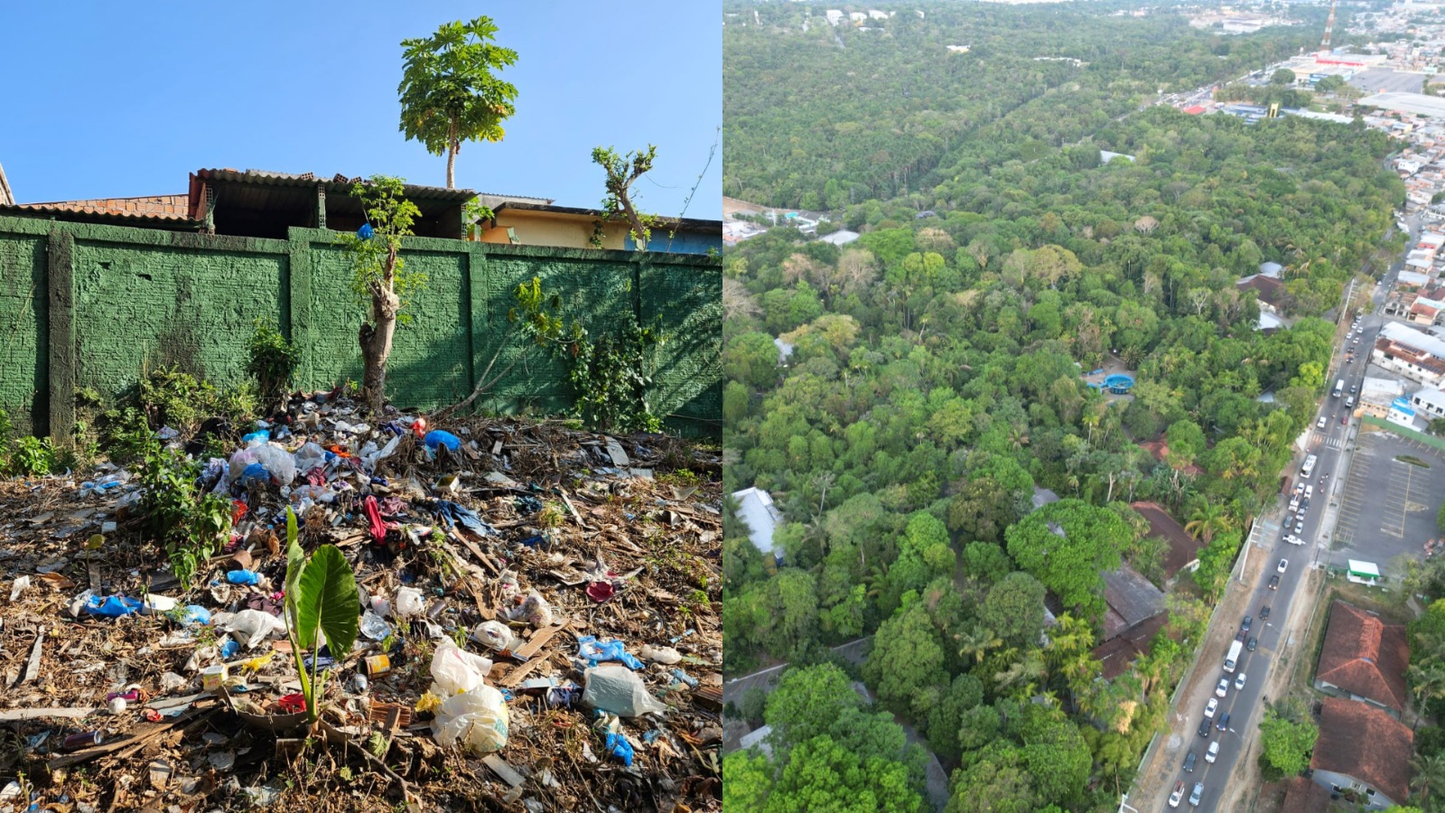 Descarte Irregular de Lixo Ameaça Área do INPA em Manaus