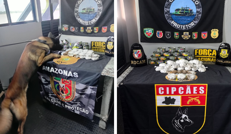 Cão policial descobre haxixe escondido em latas de atum em Coari