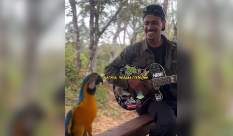 Arara acompanha música de Charlie Brown Jr. em apresentação na Praia Brava, SC