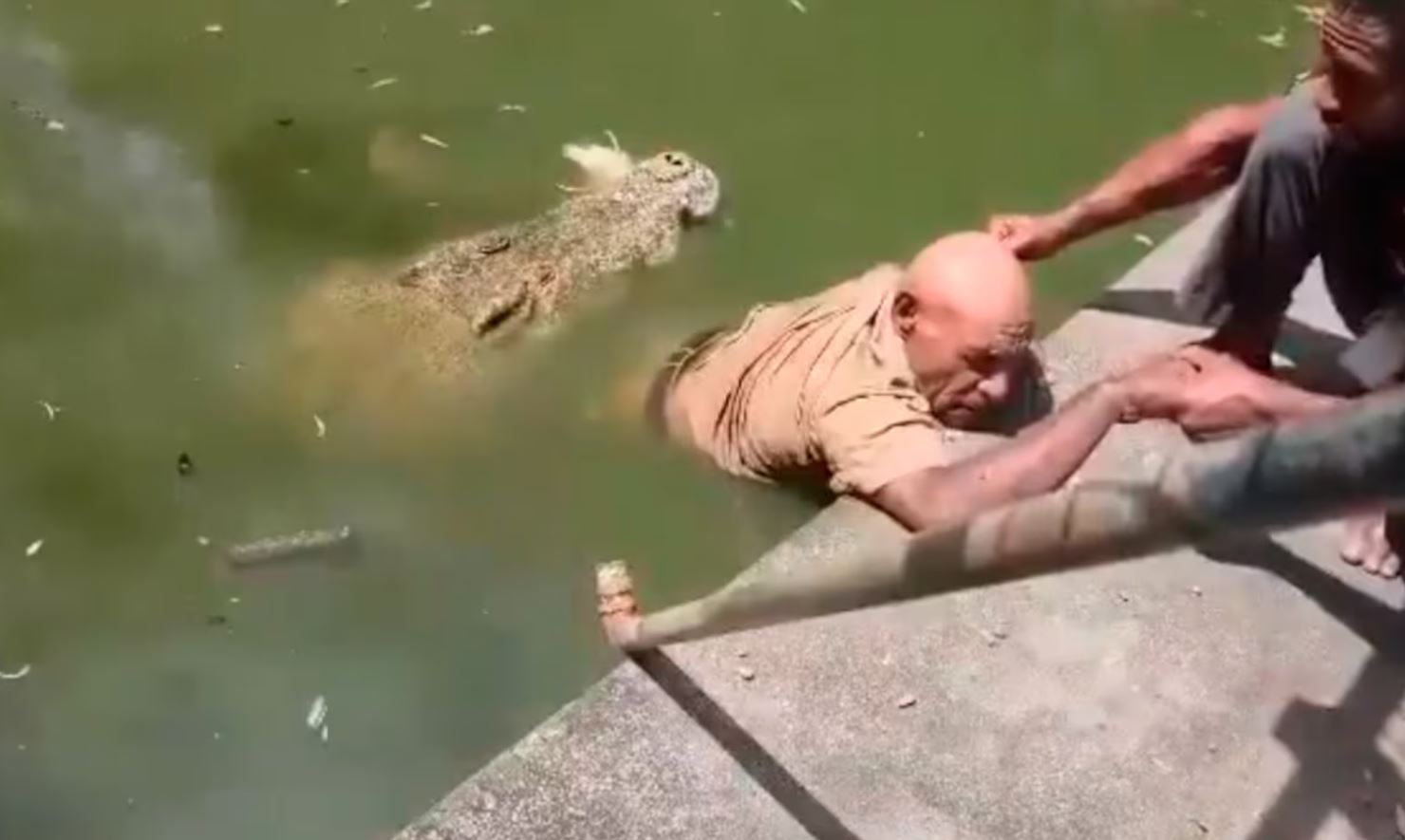 Tratador de crocodilos morre após ataque em parque na Papua-Nova Guiné