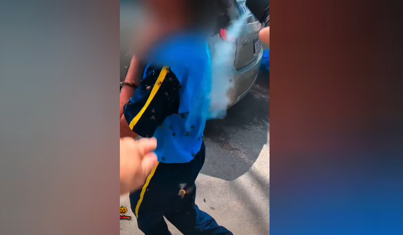 Motoboy sofre 40 picadas de abelha ao salvar criança em Ibirité
