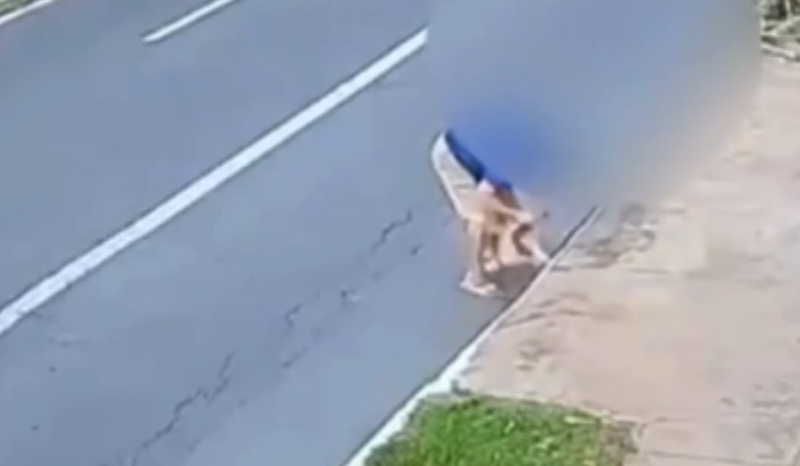 Câmera registra tutor abusando de cachorra e jogando-a em bueiro