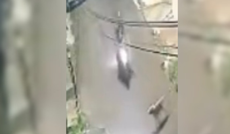 Acidente com cachorro e motociclista na rua Jupurutu, bairro Alvorada, Manaus