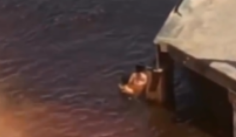 Casal é flagrado em ato sexual no Rio Negro durante o calor de Manaus
