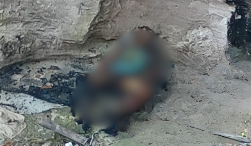 Corpo carbonizado é encontrado próximo à avenida Torquato Tapajós em Manaus