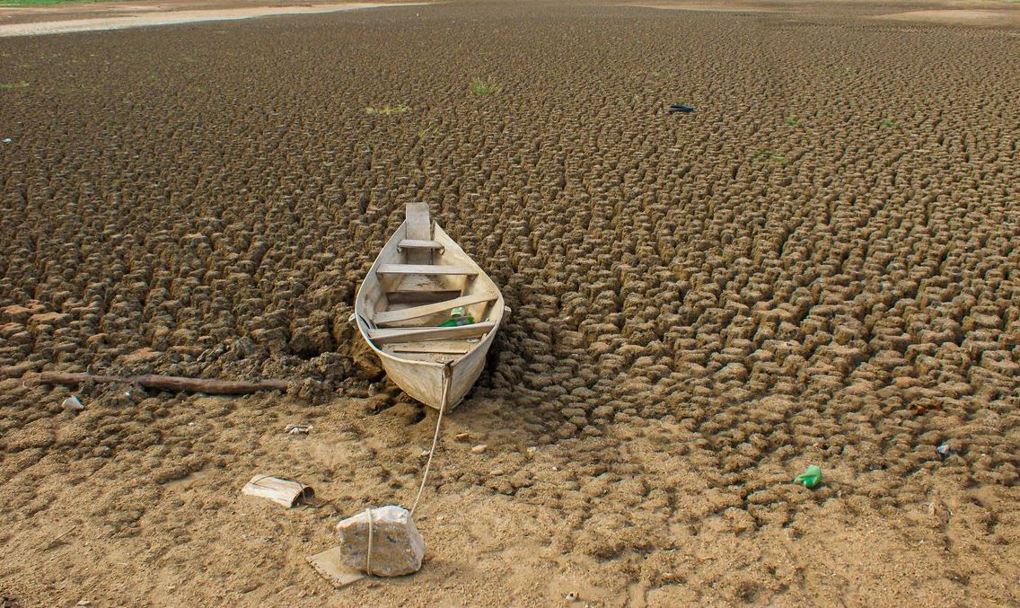 Dia da Amazônia é celebrado em 5 de setembro e destaca importância do bioma