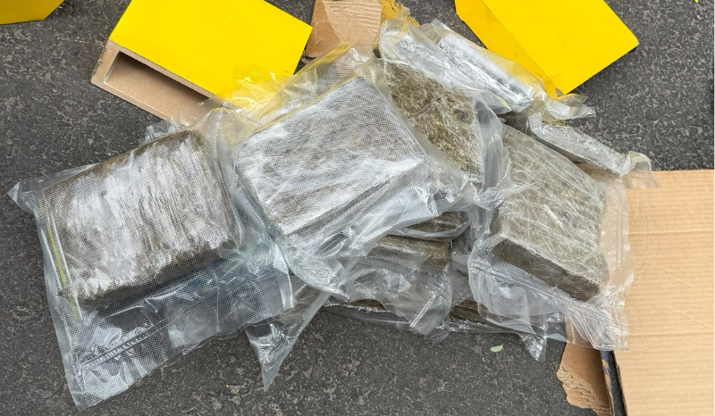 Denarc apreende 56 kg de maconha, armas e prensa em operação em Manaus