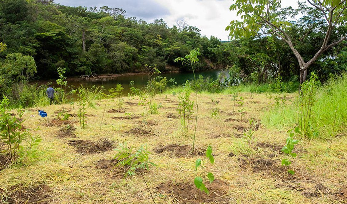 Nova legislação assegura acesso de jovens a áreas verdes no Brasil