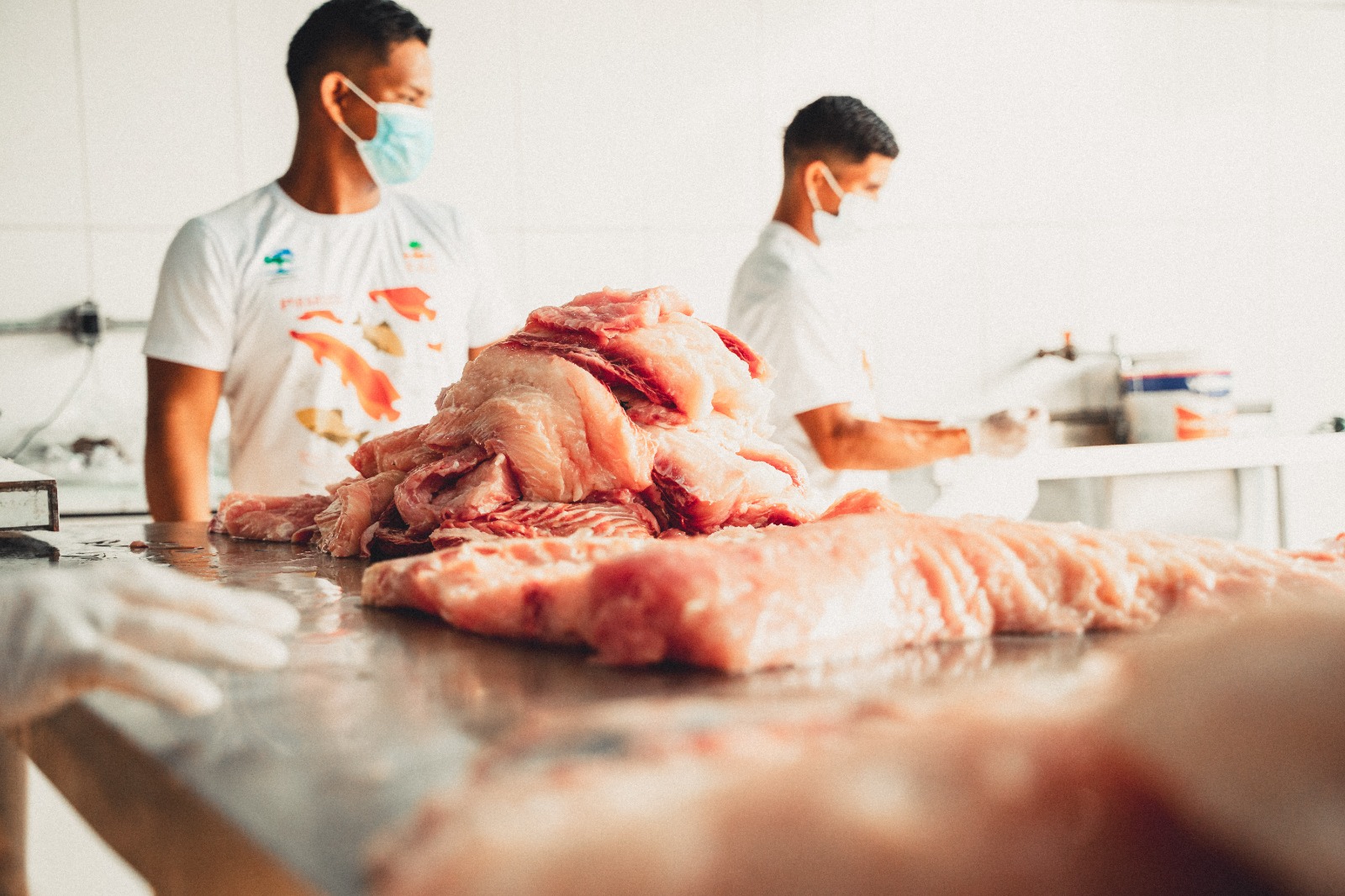 Feira do Pirarucu em Manaus oferece pescado a preços acessíveis neste sábado
