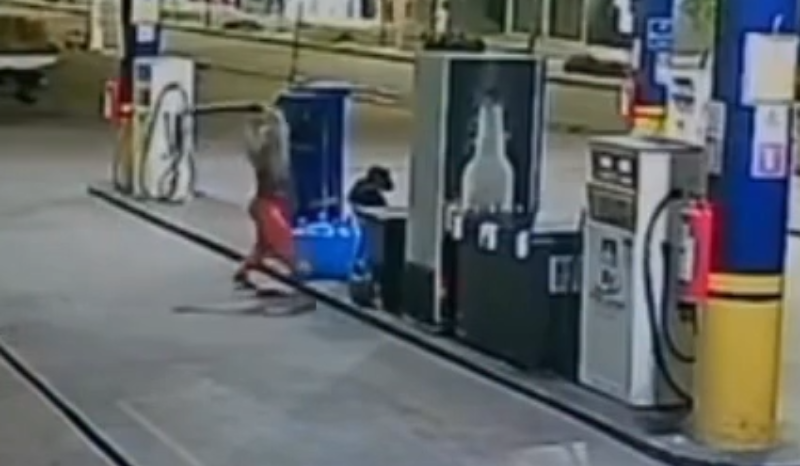 Frentista é assassinado durante assalto em Bragança; suspeito preso