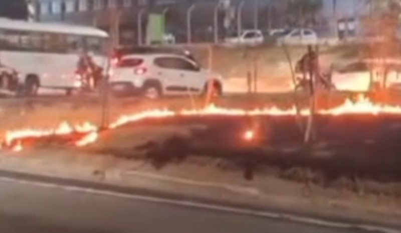 Incêndio atinge área de vegetação em avenida da zona norte de Manaus