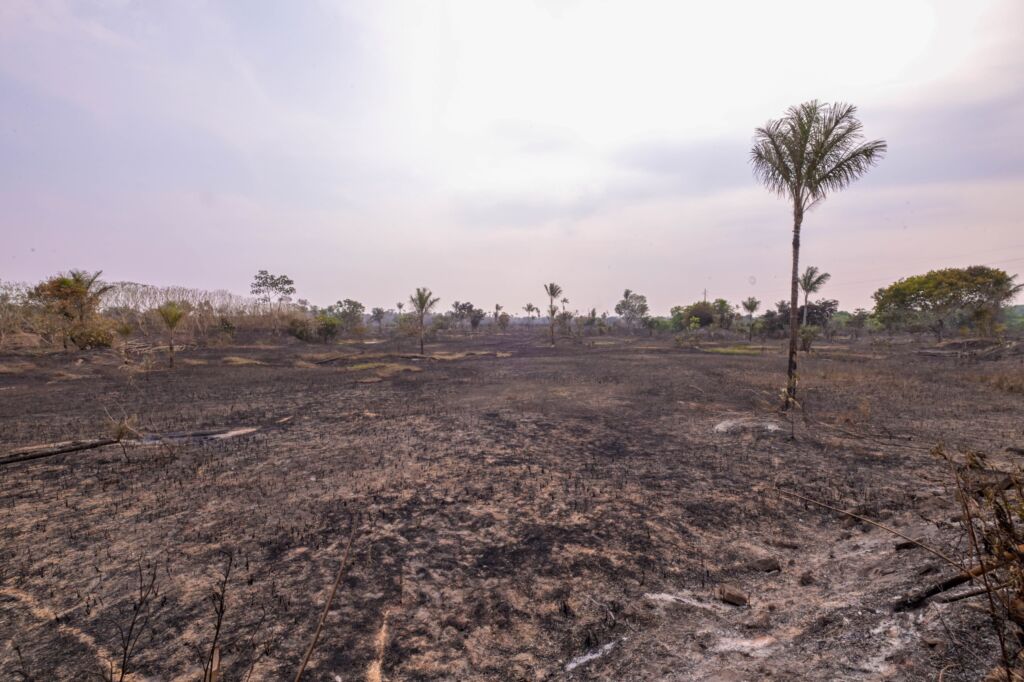 Incêndio de 700 hectares na AM-070 é controlado após ação intensa