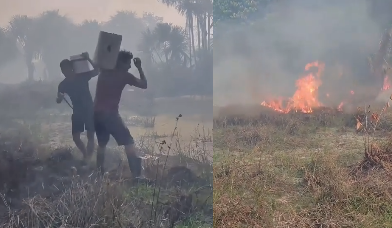 Incêndio em Caapiranga ameaça propriedades rurais antes do Festival dos Carás