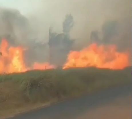 Incêndio atinge sítio na zona rural de Caapiranga