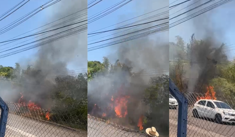 Incêndio atinge área de vegetação no Distrito Industrial de Manaus