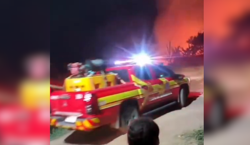 Incêndio criminoso atinge área de mata em Maués, no Amazonas
