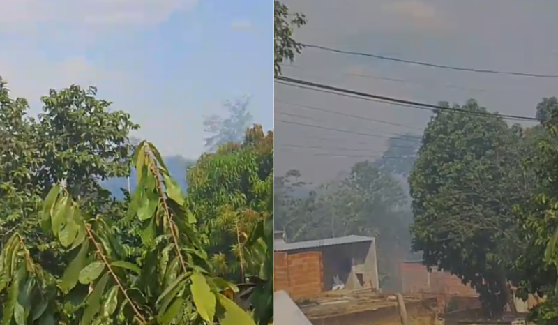 Incêndio atinge área de vegetação no bairro Tarumã Açu em Manaus