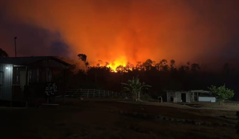 Incêndio na Estrada de Novo Airão já dura três dias e avança pela região