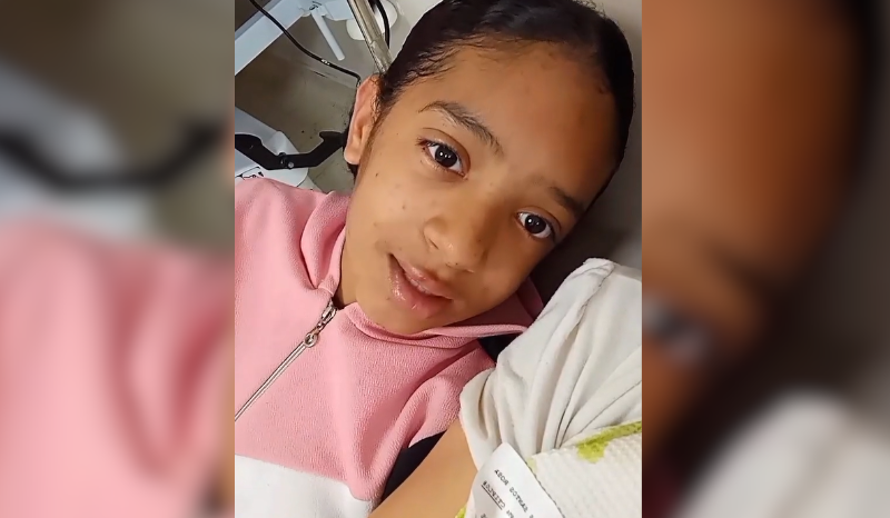 Menina atacada por abelhas tranquiliza família após resgate heroico