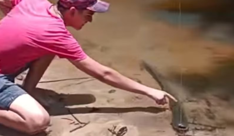 Pescador toca em peixe elétrico e viraliza com descarga de 860 volts