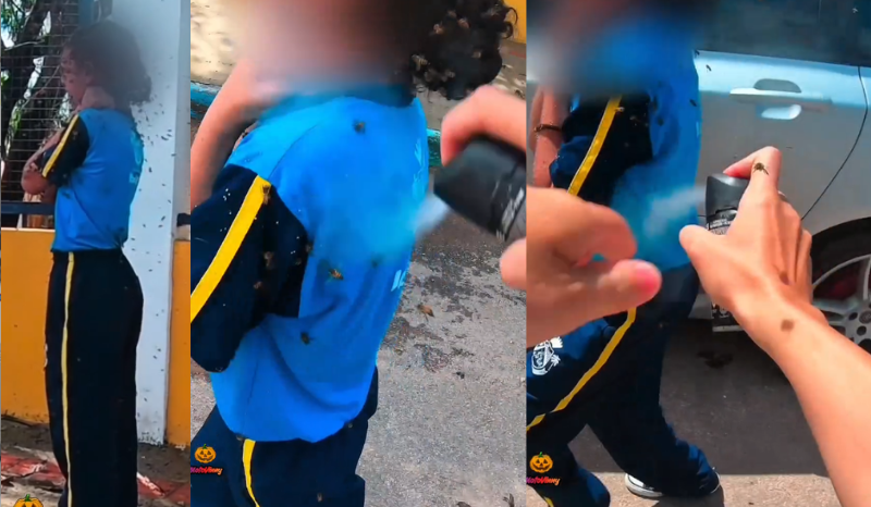 Motociclista usa desodorante para salvar adolescente de ataque de abelhas