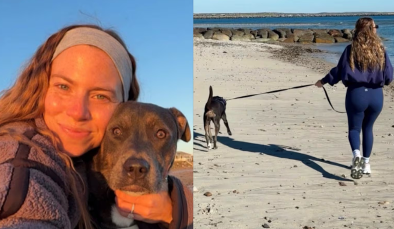 Professora troca sala de aula por trabalho como dog walker e fatura R$ 23 mil