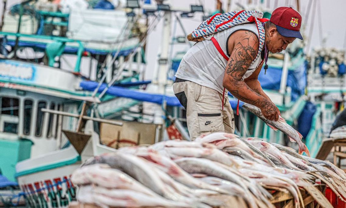 Semana do Pescado 2026: Campanha para Aumentar o Consumo de Peixes no Brasil