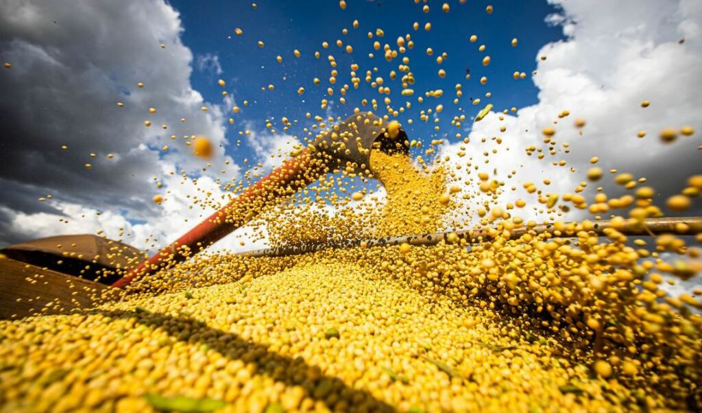 Produção de grãos no Brasil deverá crescer mesmo com El Niño